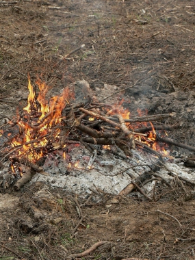 meža talkas lielais ugunskurs