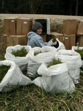cik daudz vēl jāiestāda!