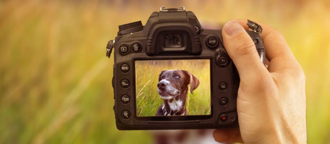 Arī šogad gaidām darbus fotokalendāram Arī šogad gaidām darbus fotokalendāram