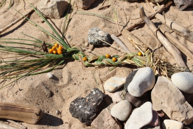 Foto: Tatjana Vucāne