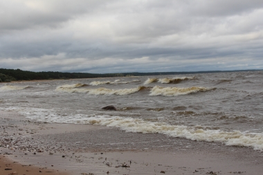 Foto: Tatjana Vucāne