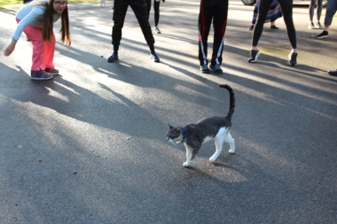 Foto: Tatjana Vucāne